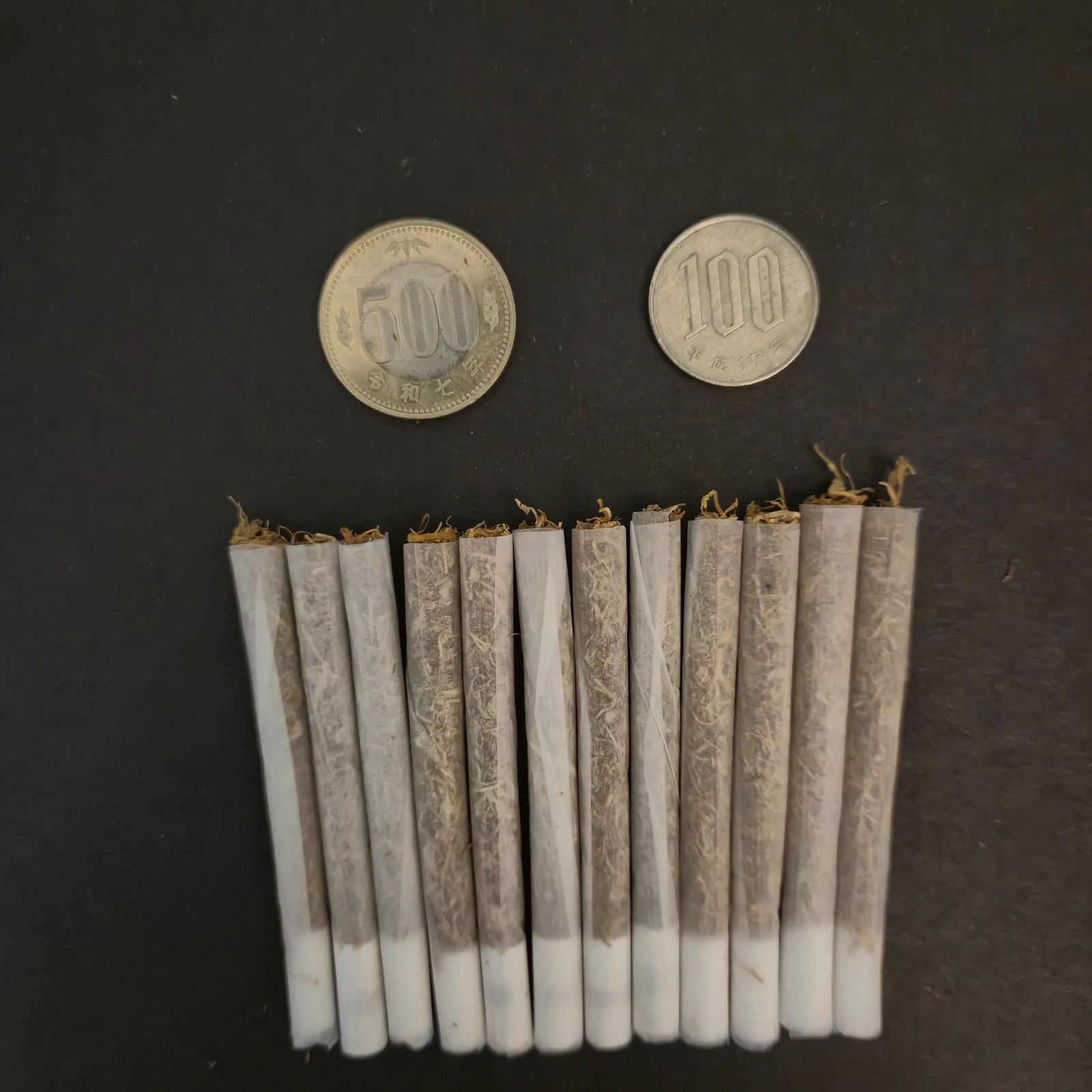 5gのタバコから巻いた12本の手巻きタバコ。大きさ比較用の500円玉と100円玉
